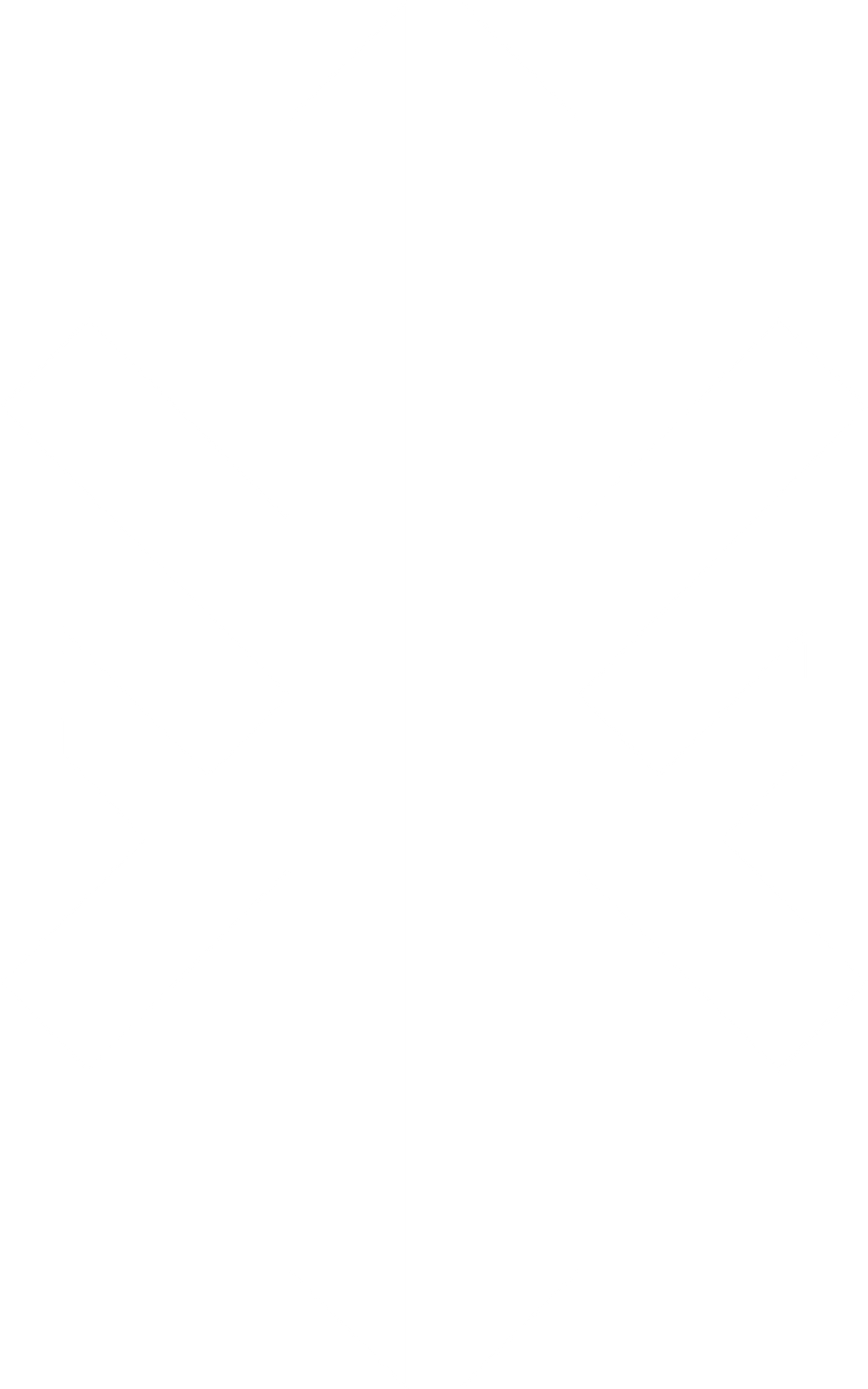 Back logo overlay