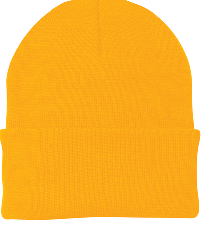 Knit Cap / Beanie - Port & Company CP90 - Technician Tees