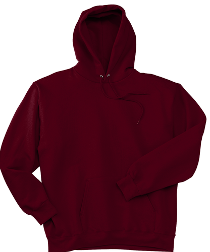 Pullover Hooded Sweatshirt - Hanes® Ultimate Cotton® F170 - Technician Tees